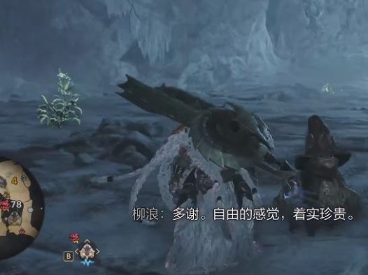 《怪物猎人：荒野 Monster Hunter Wilds》哪里可以找到柳浪